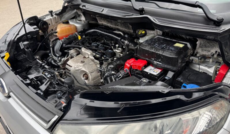 
								Ford EcoSport full									